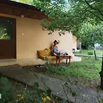 7 Garden /