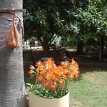 Homestay 7 Garden /