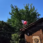 7 Garden /