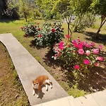 7 Garden / Homestay *