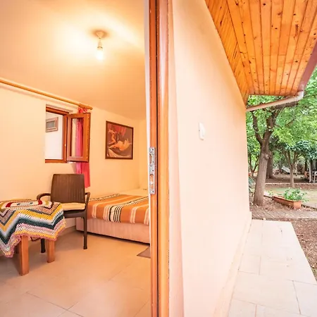 Проживание в семье 7 Garden /