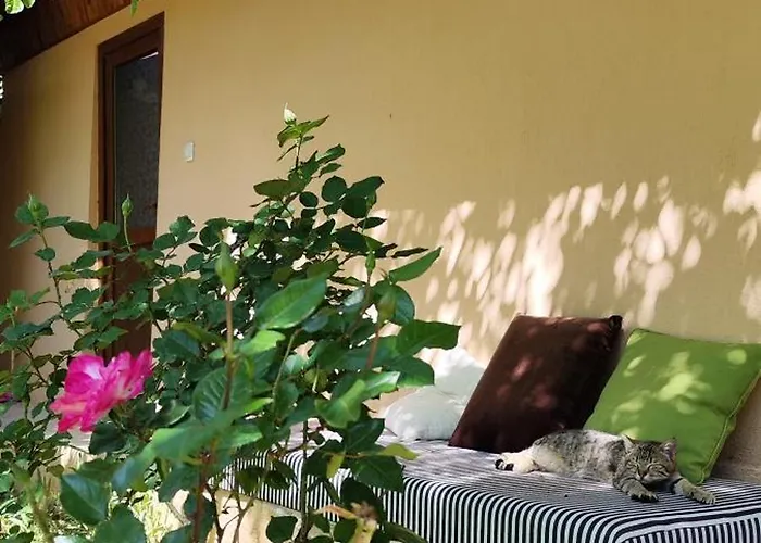 7 Garden / Kumluca
