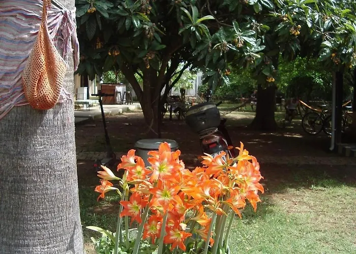 Проживание в семье 7 Garden /