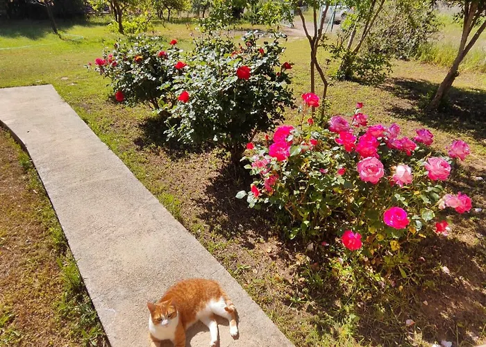 7 Garden / Проживание в семье *