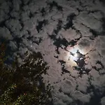 7 Garden /