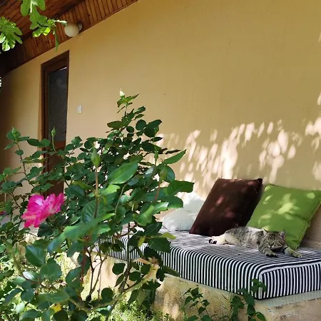 7 Garden / Kumluca
