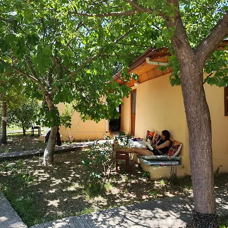 7 Garden / * Kumluca