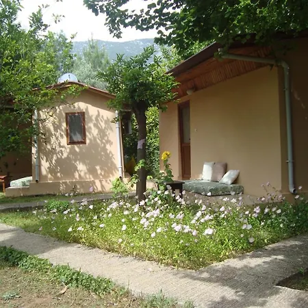 7 Garden / Kwatera prywatna *