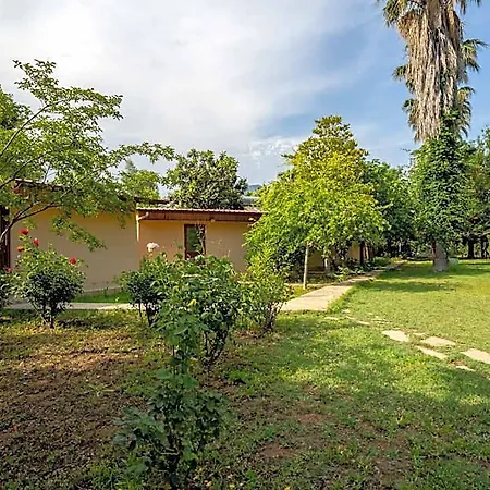 7 Garden / Accommodatie bij particulieren *