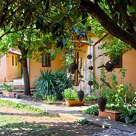 7 Garden / Accommodatie bij particulieren