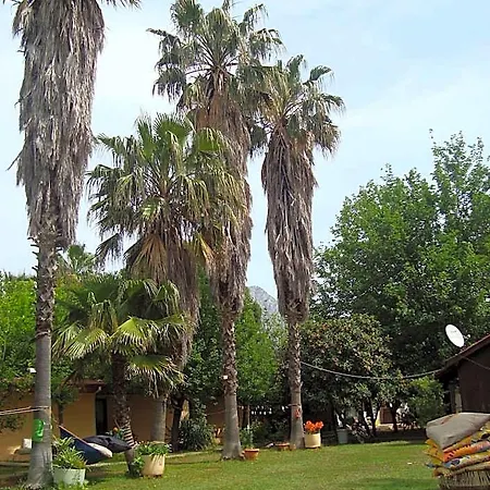 7 Garden / Kumluca