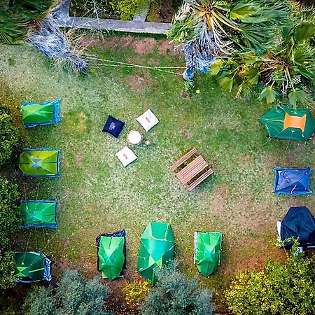 7 Garden / *